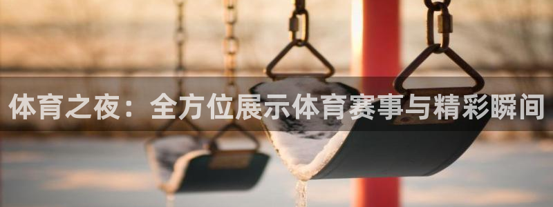 武汉三牛：体育之夜：全方位展示体育赛事与精彩瞬间
