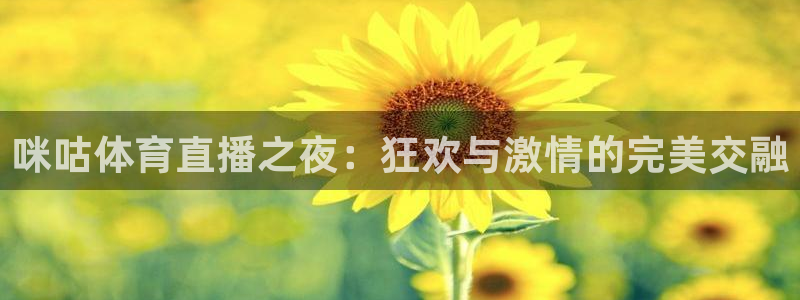 三牛平台登录地址：咪咕体育直播之夜：狂欢与激情的完美交融