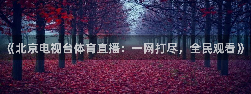 三牛娱乐app下载安装最新版本：《北京电视台体育直播：一网打尽，全民观看》