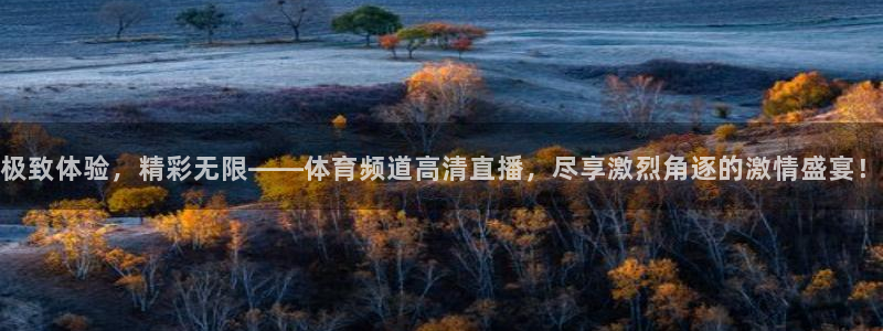 三牛娱乐如何注册：极致体验，精彩无限——体育频道高清直播，尽享激烈角逐的激情盛宴！