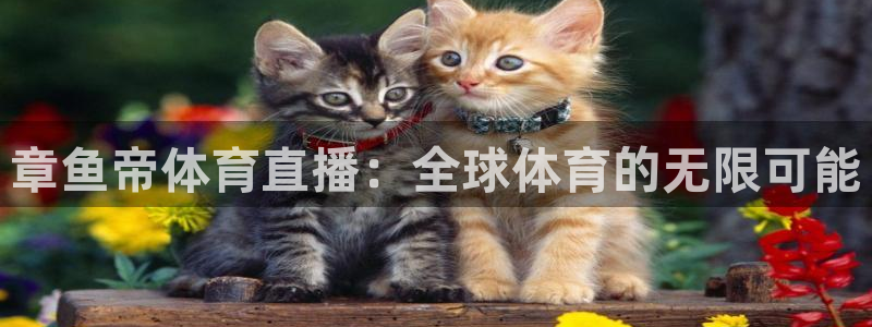三牛娱乐app官网入口最新版本：章鱼帝体育直播：全球体育的无限可能