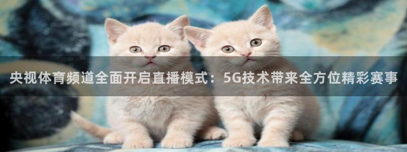 武汉三牛：央视体育频道全面开启直播模式：5G技术带来全方位精彩赛事