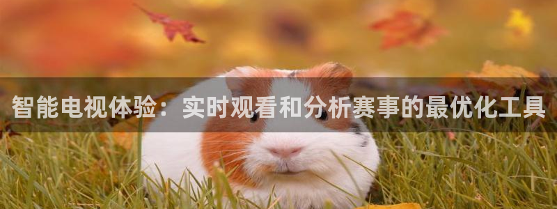 三牛公司：智能电视体验：实时观看和分析赛事的最优化工具
