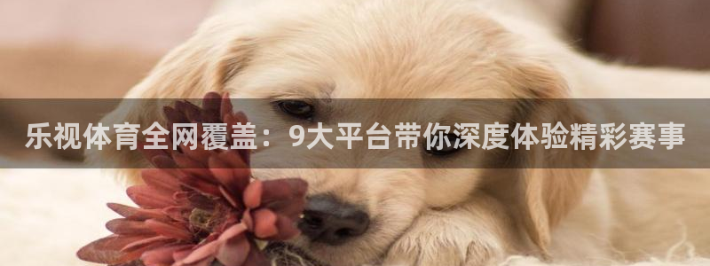 三牛娱乐如何注册：乐视体育全网覆盖：9大平台带你深度体验精彩赛事