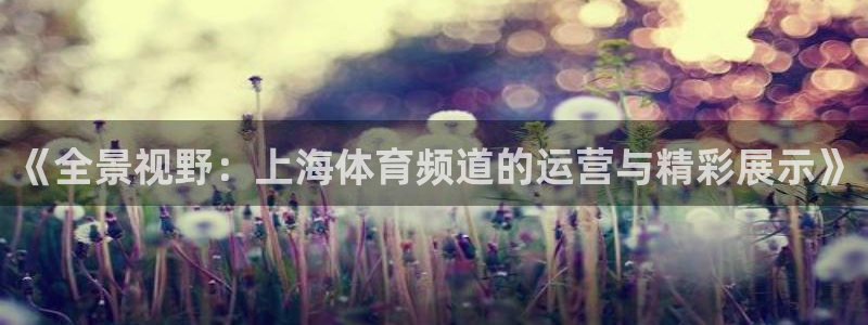 三牛娱乐官网：《全景视野：上海体育频道的运营与精彩展示》