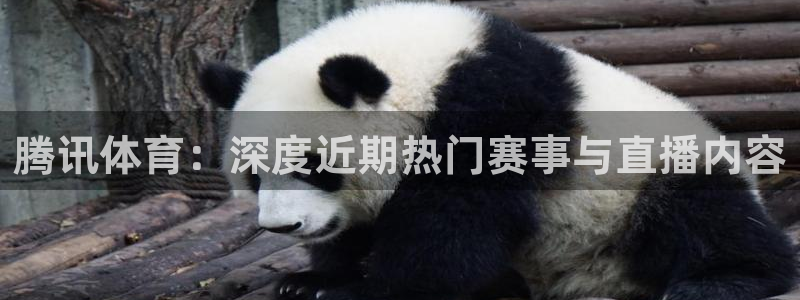 江苏三牛：腾讯体育：深度近期热门赛事与直播内容