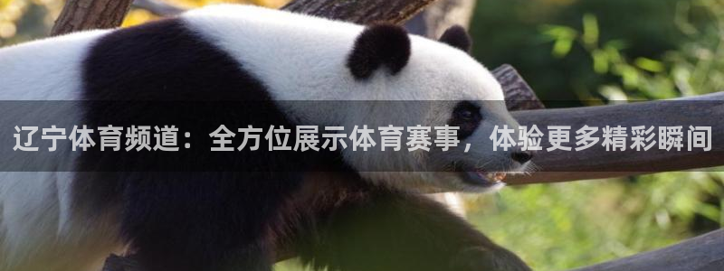 三牛娱乐下载：辽宁体育频道：全方位展示体育赛事，体验更多精彩瞬间